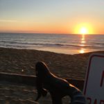 9:45 AM Friday Morning Ride w/ Leila