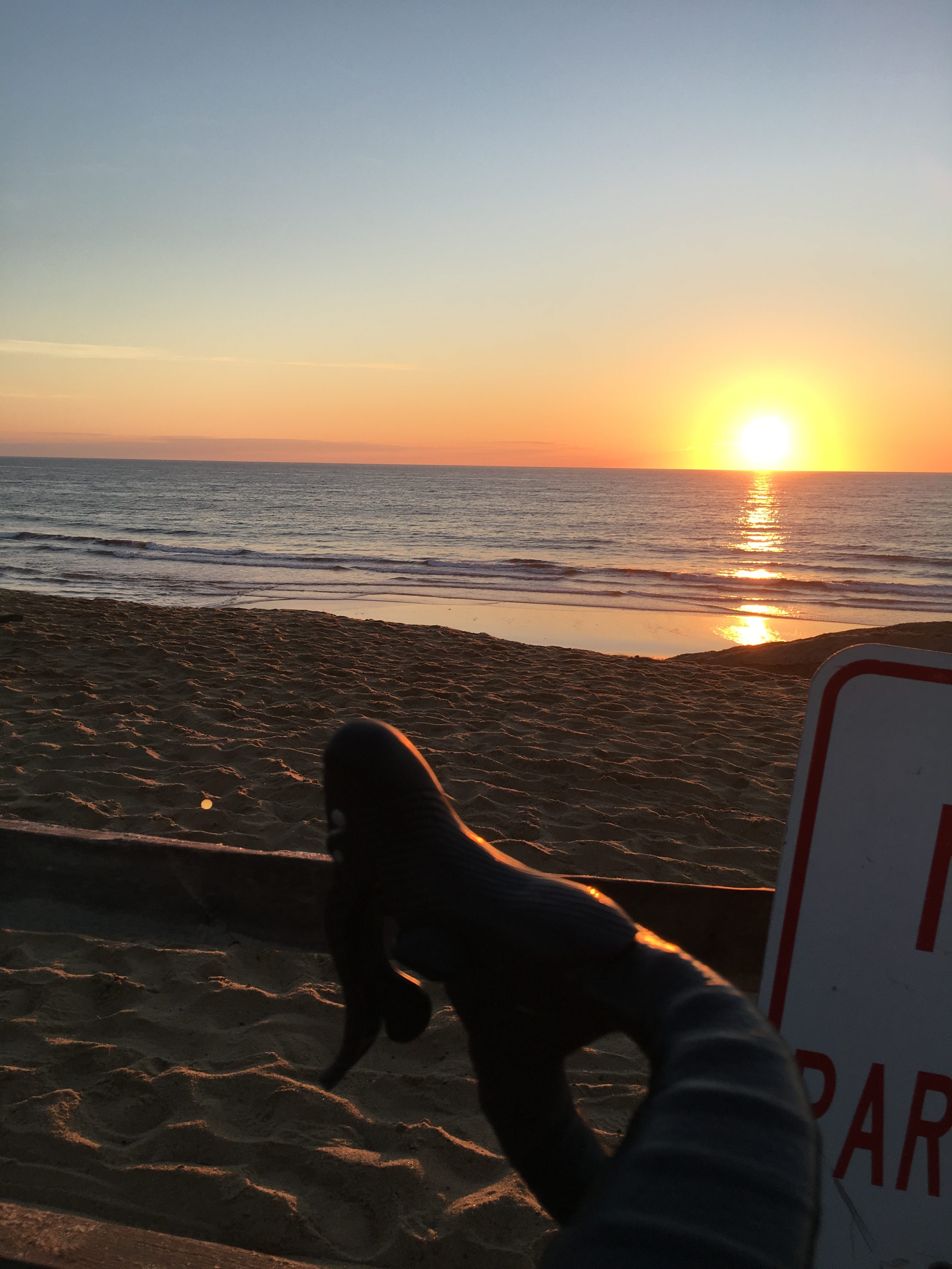 9:45 AM Friday Morning Ride w/ Leila